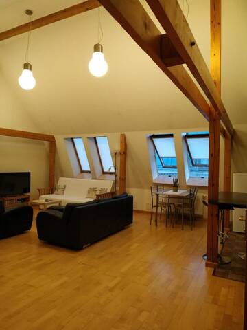 Фотографии Апартаменты Sunlit Loft Apartment Riga г. Рига (Латвия) №1 Фото Апартаменты Sunlit Loft Apartment Riga г. Рига 1