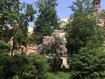 Фото номера Апартаменты Апартаменты Dianas Old Riga Apartaments г. Рига 26