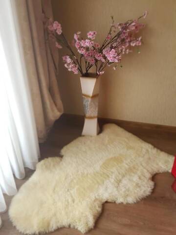 Фото номера Апартаменты с 1 спальней Апартаменты Riga airport Apartment г. Рига 51