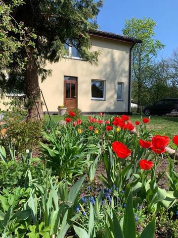 Фото номера Апартаменты с 1 спальней Апартаменты Excelent apartment with garden and free parking г. Рига 59