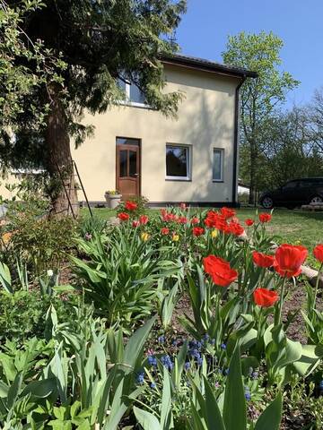 Фото номера Апартаменты с 1 спальней Апартаменты Excelent apartment with garden and free parking г. Рига 19