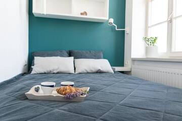 Фото номера Апартаменты с 1 спальней Апартаменты Cozy studio apartment in the center of Riga г. Рига 23