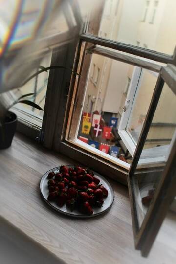 Фото Апартаменты Home is where the heart is г. Рига 5
