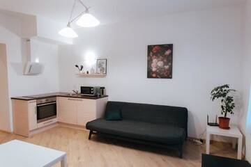 Фото номера Апартаменты Делюкс Апартаменты Residential home in Riga near Agenskalna Quarter. г. Рига 31