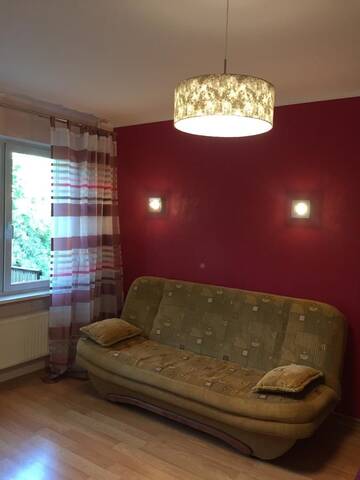 Фото номера Апартаменты Апартаменты Cat Garden Domina Apartments Riga г. Рига 8
