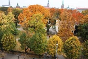 Фото номера Лофт Апартаменты Old Riga Romantic Loft г. Рига 64