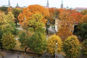 Фото номера Лофт Апартаменты Old Riga Romantic Loft г. Рига 35