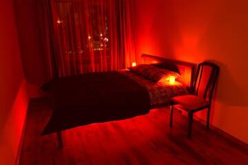Фото номера Стандартные апартаменты Апартаменты Cat Garden Economy Apartments Riga г. Рига 7