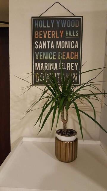 Фото номера Четырехместный номер Хостелы Martas Street Hostel г. Рига 4