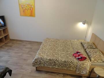 Фото номера Апартаменты с 1 спальней Апартаменты Apartment Arena Riga quiet center FREE PARKING г. Рига 38