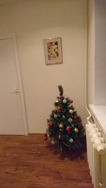 Фото номера Трехместный номер с общей ванной комнатой Гостевой дом Apartments Terbatas 6/8 г. Рига 28