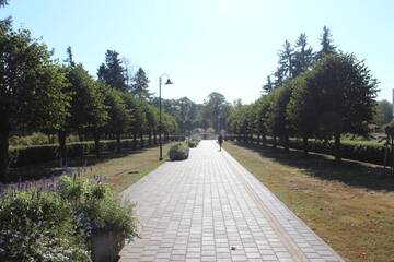 Фото номера Апартаменты Апартаменты Studio in the Centre of Riga г. Рига 68