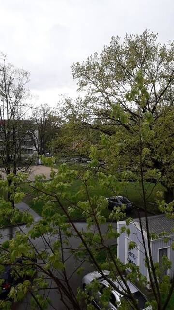 Фото номера Апартаменты с 1 спальней Апартаменты Jolantas apartment near the airport г. Рига 57