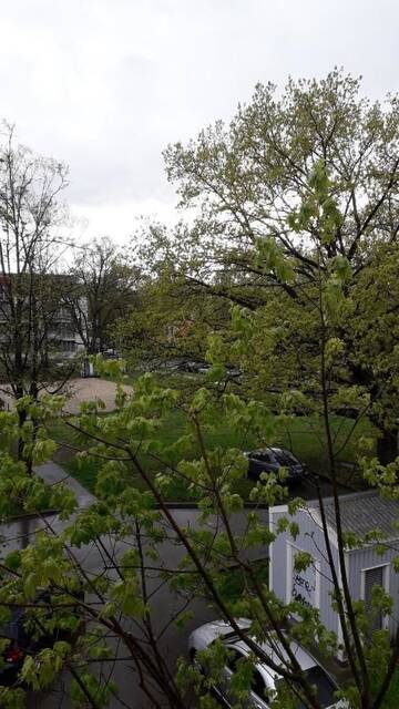 Фото номера Апартаменты с 1 спальней Апартаменты Jolantas apartment near the airport г. Рига 28