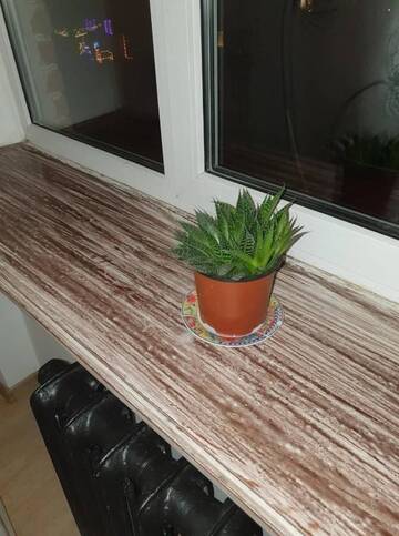 Фото номера Апартаменты с 1 спальней Апартаменты Jolantas apartment near the airport г. Рига 7