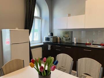 Фото номера Апартаменты с 1 спальней Апартаменты Elizabete style flat 1 г. Рига 32