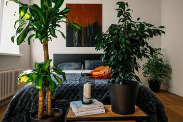 Фото номера Апартаменты с 1 спальней Апартаменты Charming design apartment at the heart of Riga г. Рига 59