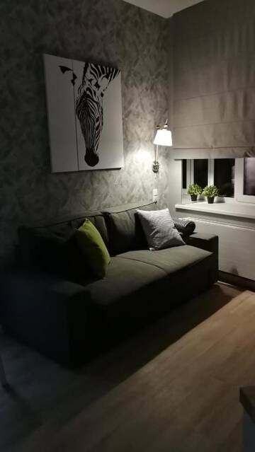 Фото номера Апартаменты с 1 спальней Апартаменты Zebra Apartment г. Рига 46