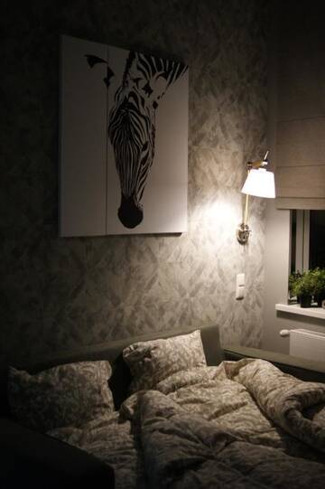Фото Апартаменты Zebra Apartment г. Рига 5