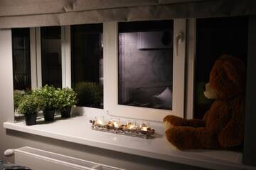 Фото номера Апартаменты с 1 спальней Апартаменты Zebra Apartment г. Рига 66