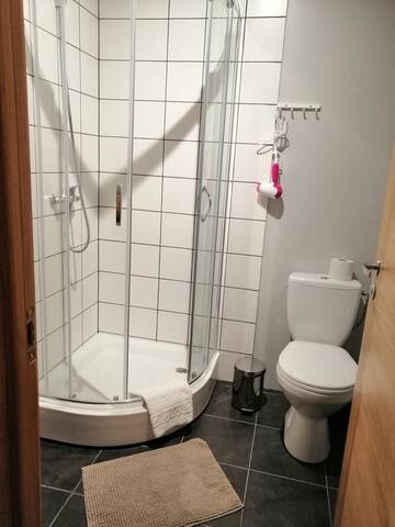 Фото номера Улучшенный двухместный номер с 1 кроватью Отель PaPa Home г. Рига 3