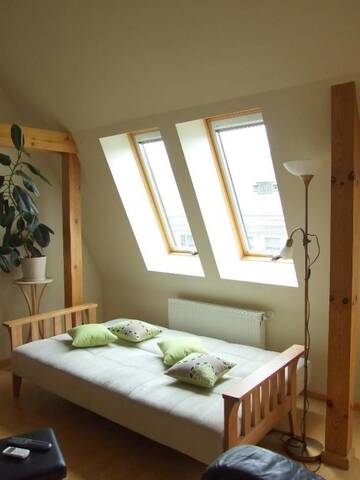 Фото номера Апартаменты с 2 спальнями Апартаменты Sunlit Loft Apartment Riga г. Рига 82