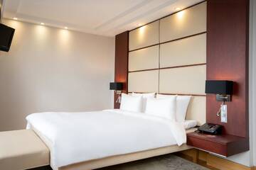 Фото номера Люкс с панорамным видом Отель Radisson Blu Elizabete Hotel, Riga г. Рига 8