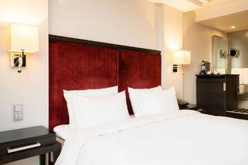 Фото номера Улучшенный номер с видом на парк Отель Radisson Blu Elizabete Hotel, Riga г. Рига 3