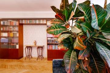 Фото номера Апартаменты с 2 спальнями Апартаменты ANNA Riga Apartment г. Рига 18
