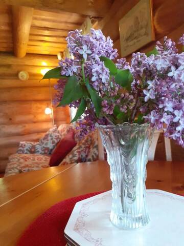 Фото номера Дом с 2 спальнями Дома для отпуска Forest Edge Lodge and House г. Рига 7