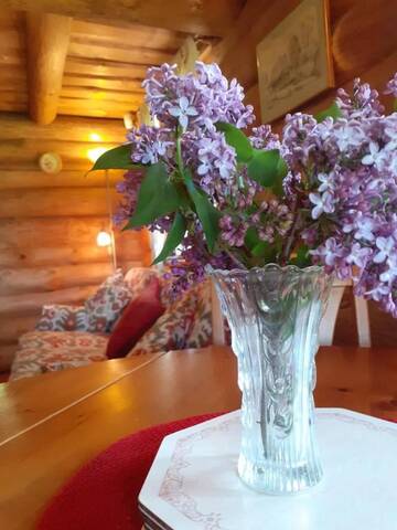 Фото номера Дом с 2 спальнями Дома для отпуска Forest Edge Lodge and House г. Рига 85