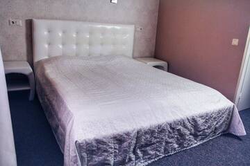 Фото Отель Hotel Felicia г. Рига 3