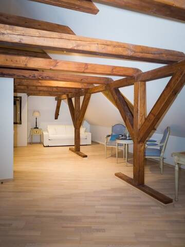 Фото Апартаменты Riga Downtown Apartment г. Рига 3
